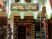 Hotel Lotus