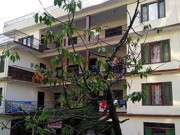 Hotel Bulbul