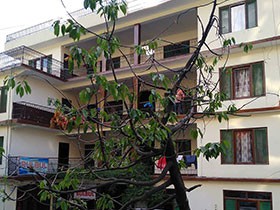 Hotel Bulbul Manali